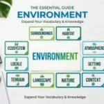 Synonyms for Environment