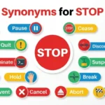Synonyms for Stop