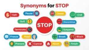 Synonyms for Stop